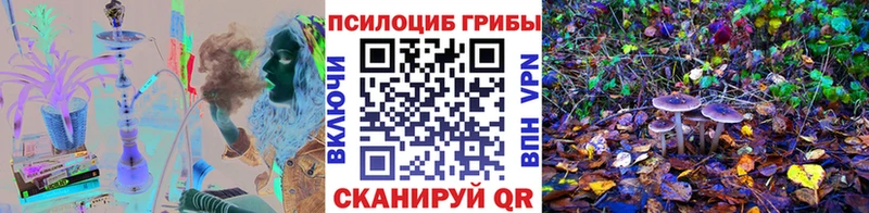 наркотики  Судогда  Галлюциногенные грибы Magic Shrooms 